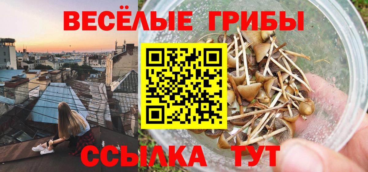 Волжск  Галлюциногенные грибы MAGIC MUSHROOMS  Вход с VPN 